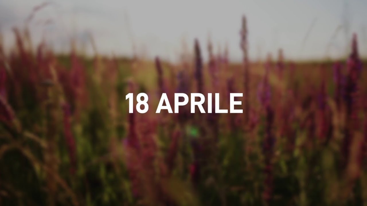 18 Aprile 2025 | Meditazione Parole di Vita