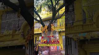 Download lagu Komuravelli Mallanna Swamy Temple mp3 Download lagu Komuravelli Mallanna Swamy Temple mp3