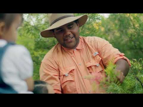 Voyages - Ayers Rock Resort | Short Clip | Discover Aboriginal Experiences | Tourism Australia