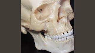 What Am I Doing Here?