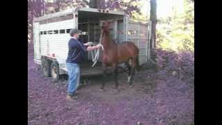 preview picture of video 'Trailer Loading with Joe and John at Adventure Horse Riding in NYS by Mary Dixon Smilla13'