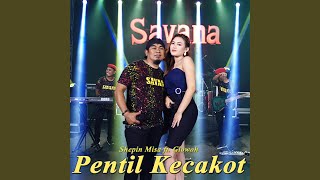 Download lagu Pentil Kecakot mp3
