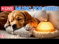 24 7 Psychological Stability Music For Anxious Dogs Separation Anxiety Music Stress Relief Music