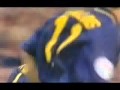 Ally McCoist Top 10 Goals. Glasgow Rangers and.