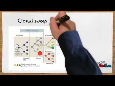 Vidcast Project - Inter and Intratumor heterogeneity and the evolution of cancer.