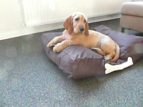 {$row[$i]['name'], ENT_QUOTES,'utf-8'); ?>