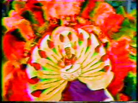 1976 Greater Bucks String Band "Carnival In Trinidad" - 21st Place