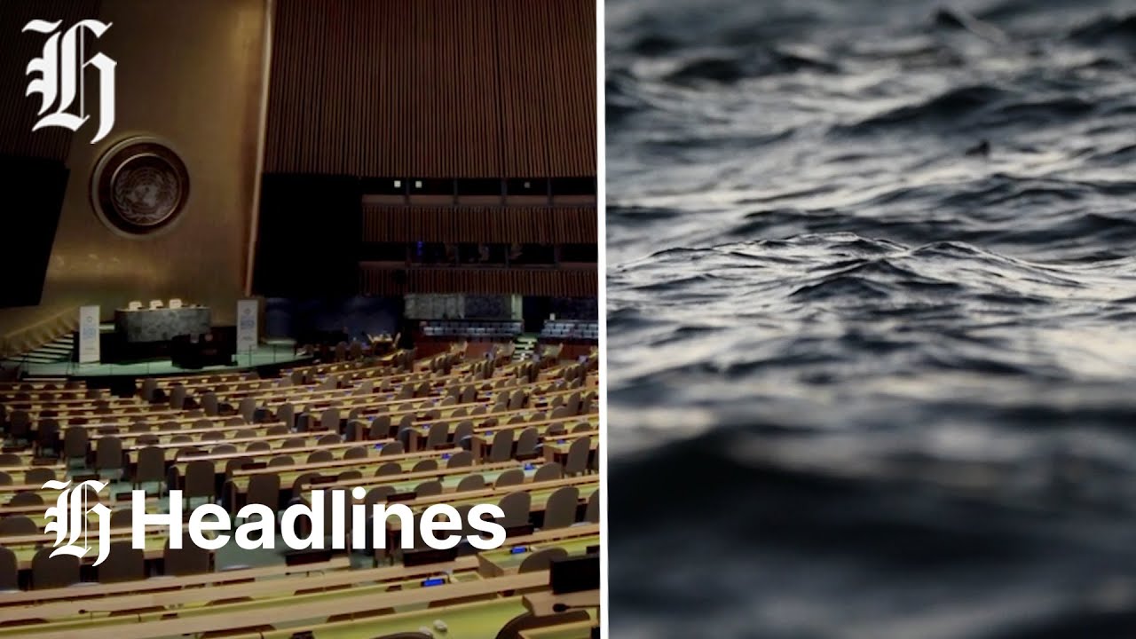 NZ Herald Headlines | Wednesday, December 24, 2025