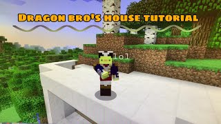 Dragon bro’s house tutorial