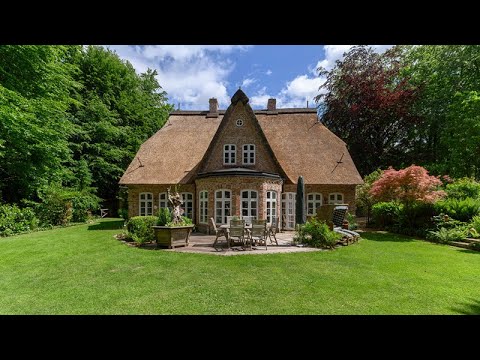 Ein Traum unter Reet