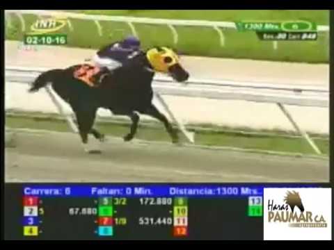 LA RINCONADA 6 CARRERA, DOMINGO 02 DE OCTUBRE DEL 2016