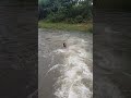 Rajapalayam Ayyanar Kovil Falls Nature Falls Rajapalayam Ayyanarfalls
