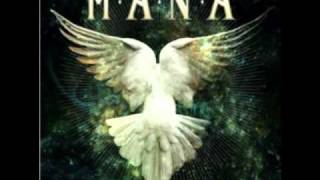 NUEVO !!! Maná - Vuela libre paloma (Drama Y Luz) 2011 ORIGINAL