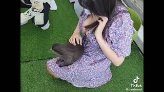 いいもの持ってんな