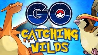 Pokémon GO Catching A Gyarados !!