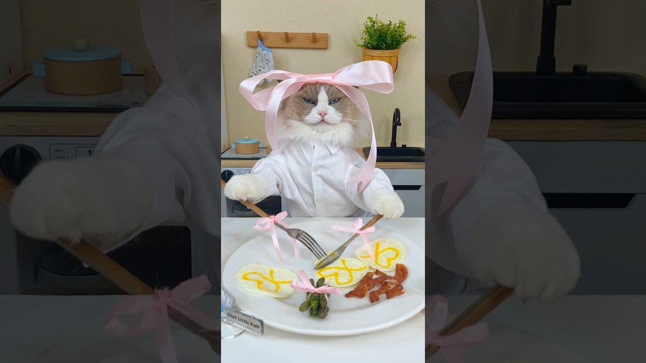 Puff's Pink Bow Universe! | That Little Puff