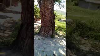 Visitando una casa embrujada  👻👻