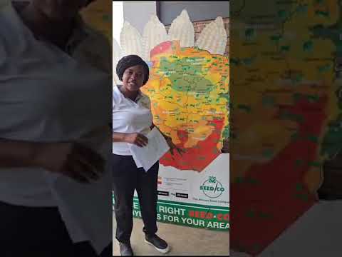 Buying my Seed Co seeds 🌽🐘SC 727 to plant the 1st blocks of maize