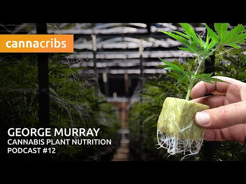 Science of Cannabis Nutrients Guide with Formulation Chemist (Canna Cribs Podcast)