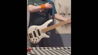 Just Another Love Song