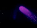 Lil Uzi Vert Bust Me Slowed Reverb