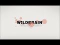 Wildbrain 2007 2012 Logo Re Uploaded For L S Video Network