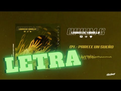 Parece Un Sueño - LETRA/LYRICS | Opium G, Jayrick