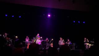 The Magnetic Fields - How Fucking Romantic, New York City 4/10/2024