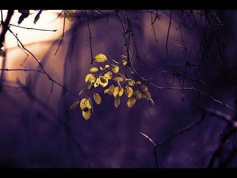 Beni Sarstı-Hazatni-I am Shaken (Mohammad Matri) محمد مطري ھزتني Hüzünlü Neşid