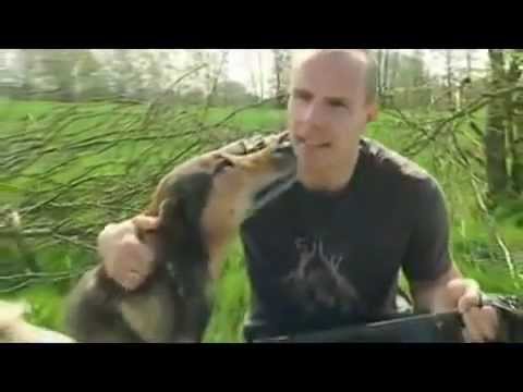 † R.I.P. Robert Enke  Goalkeeper of Germany and Hannover 96 (1977 - 2009) †