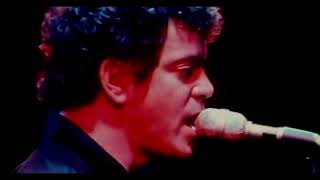Lou Reed Parco delle Cascine, Firenze, Italy 1980-06-14