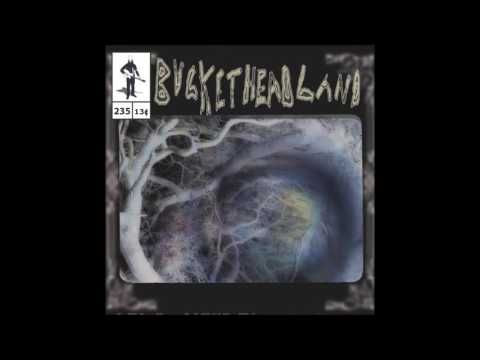 Buckethead - Pike 235 - Oneiric Pool