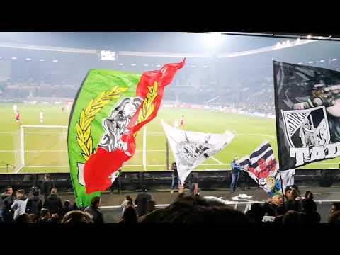 Uma Paixão Inexplicável! | Vitória SC - Benfica