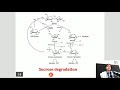 Carbohydrates Metabolism