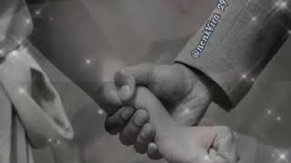 Download lagu Setatus WhatsApp,,versi ikatan cinta mp3