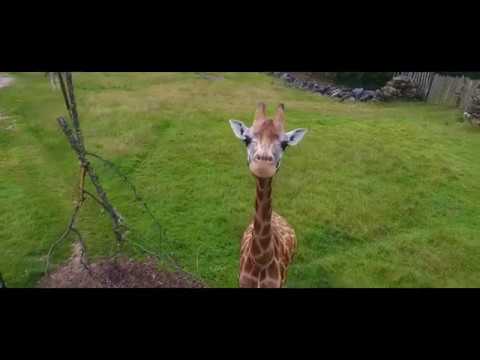 World on Board Moulins #1