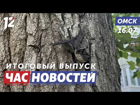Активизировались летучие мыши / Телефонные мошенники / Ремонт школы. Новости Омска