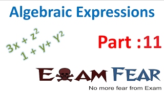 Maths Algebraic Expressions part 11 (Multiply Monomials) CBSE Class 8 Mathematics VIII