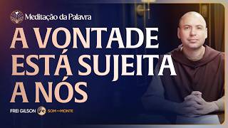 A vontade está sujeita a nós | (Lucas 8, 19-21) #2841 | Meditação da Palavra