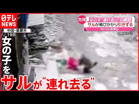 アジアの動物たち