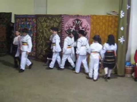 Flori de pe Campie - Pogaceaua - 22 decembrie 2013