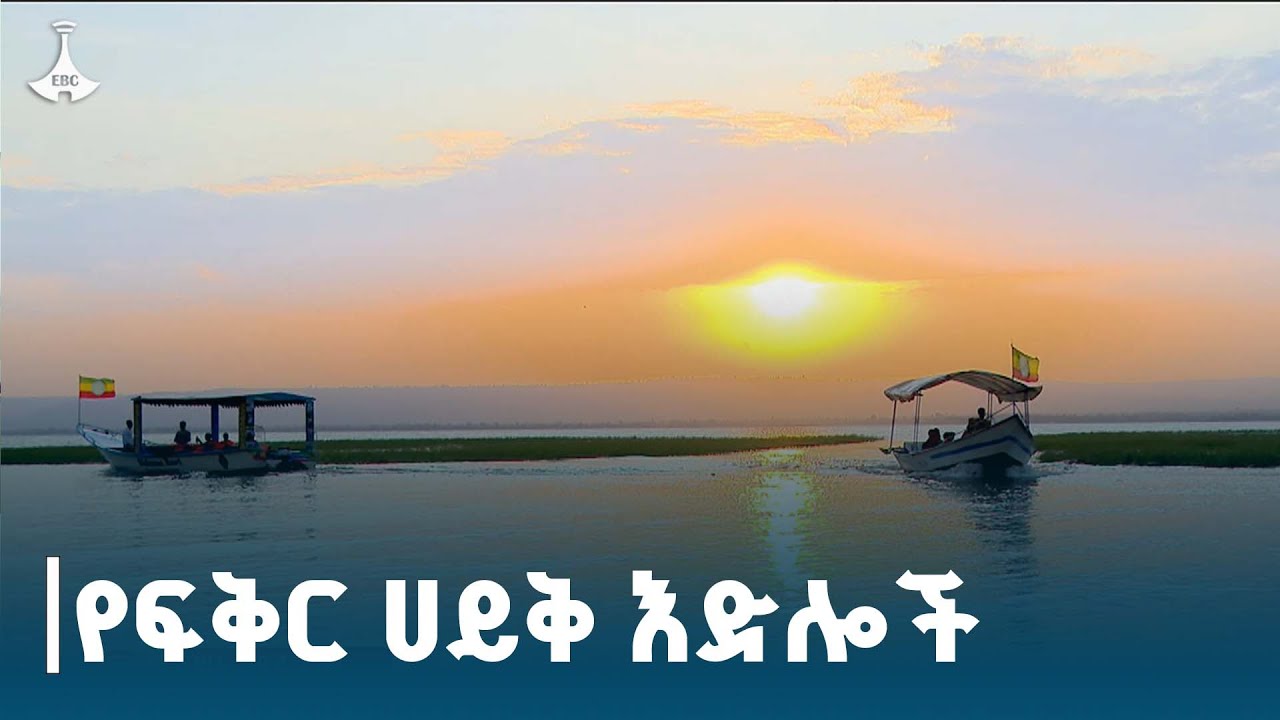በሀዋሳ ሐይቅ ላይ ተደራጅተው እየሰሩ ያሉ ወጣቶች  ETV | EBC | EBCDOTSTREAM