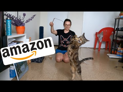 Best cat toys on Amazon that are actually worth your $