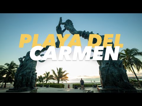 Playa Del Carmen - La Residencia, Micaela's Grill, La Cueva del Chango, BIO-Natural, Social PubCrawl