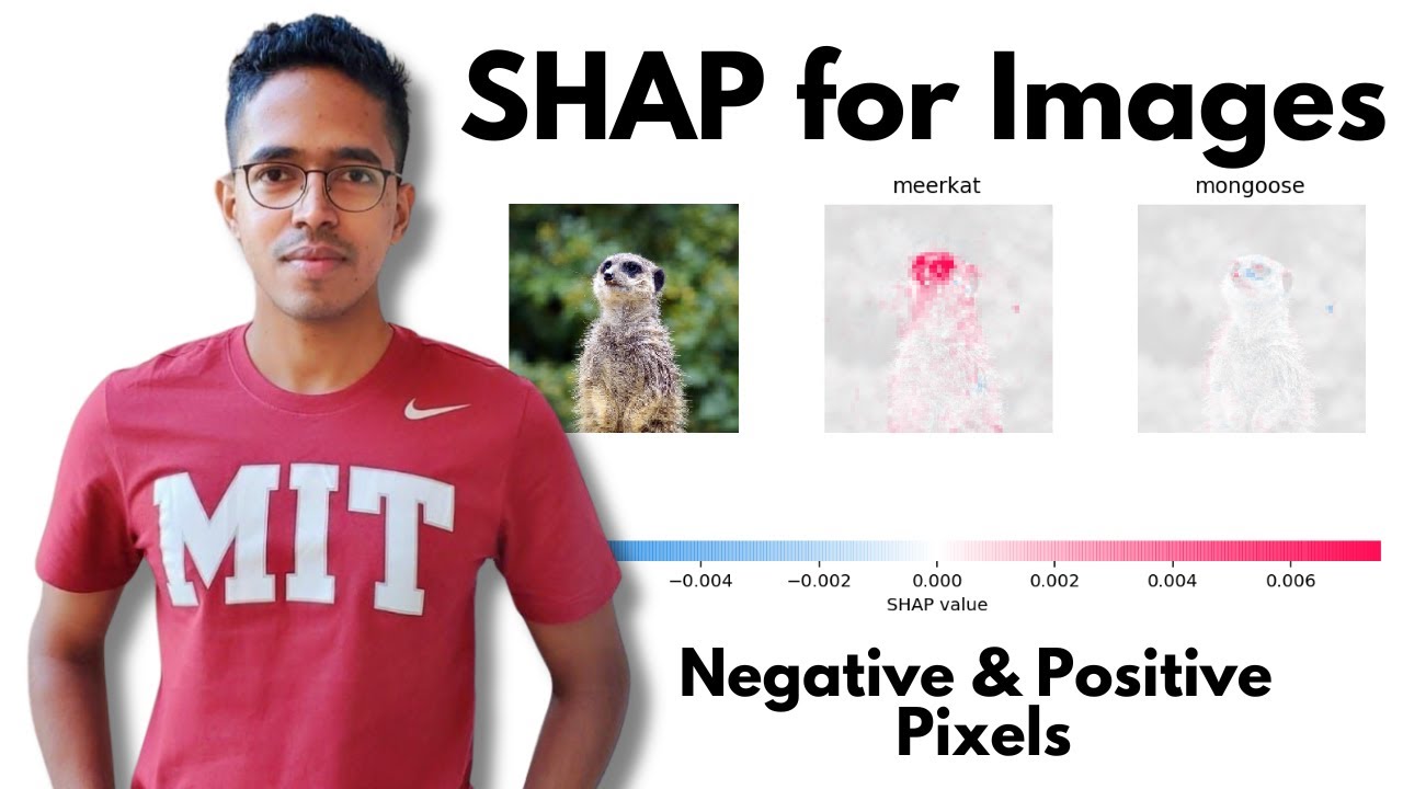 Lecture 11 - SHAP for image-based data | Explainable AI (XAI) | Image plot | Colab Implementation