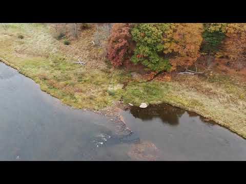Clarion River at Cook Forest 10 26 2019