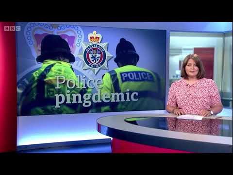 look north   pingdemic