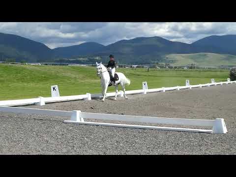 Second Level Musical Freestyle - Dressage Under the Big Sky II
