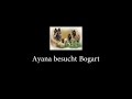 Ayana besucht Bogart 