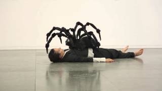 La Théorie des Contraires